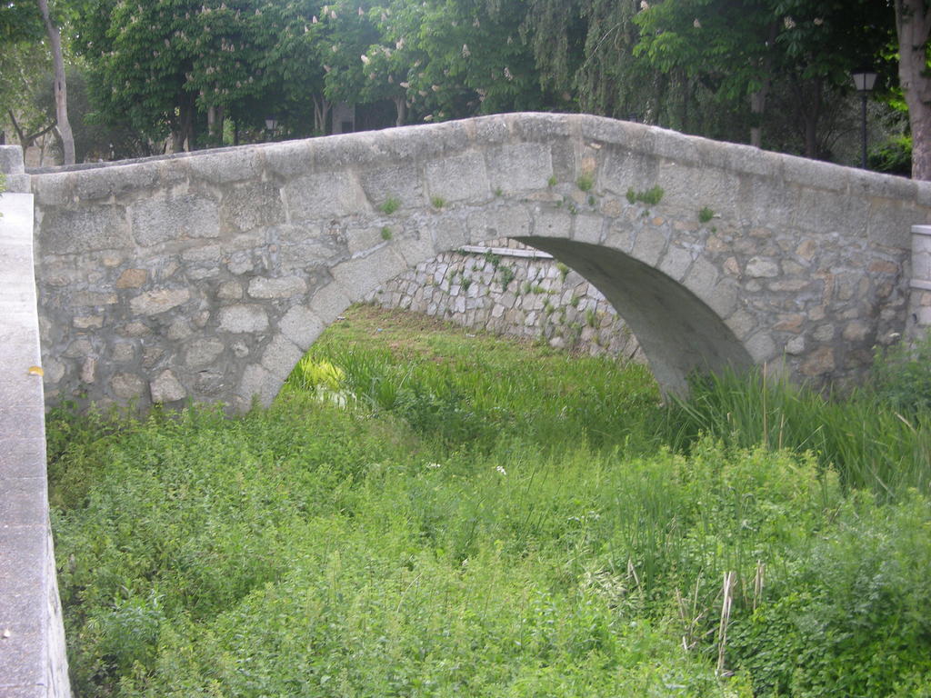 Rural Albus Albi Apartament
