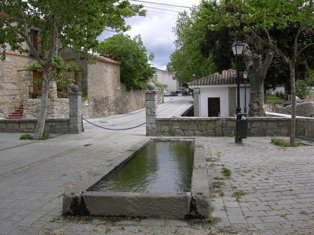 Rural Albus Albi